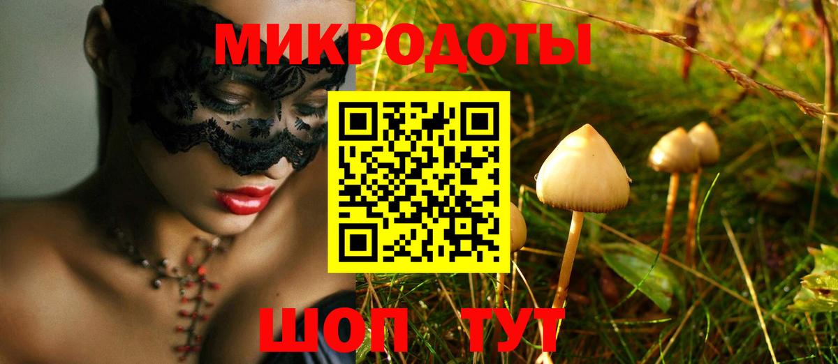 Орёл  что такое наркотик  Вход с VPN  Псилоцибиновые грибы Psilocybe 